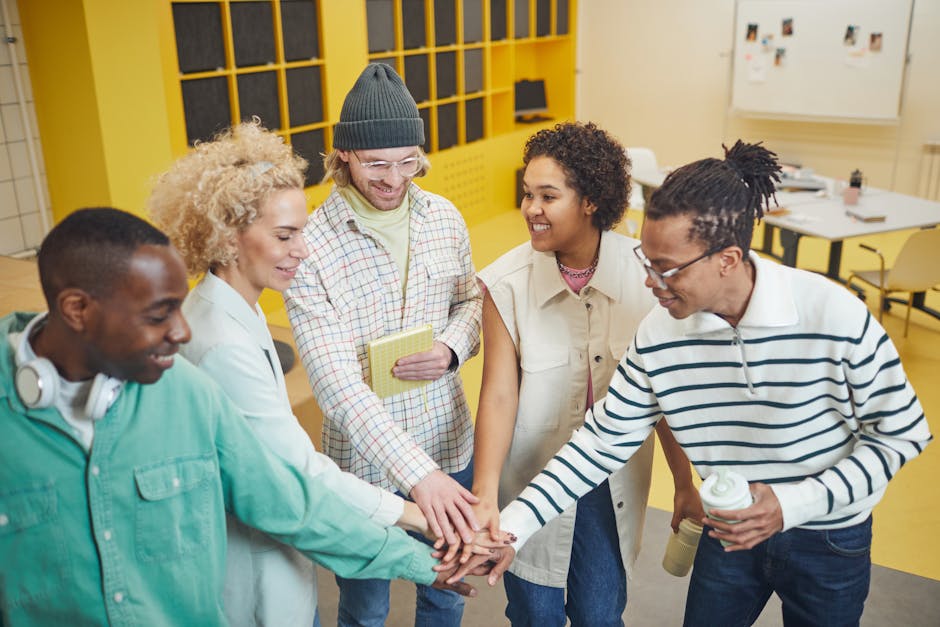 Курсы программирования и веб-дизайна