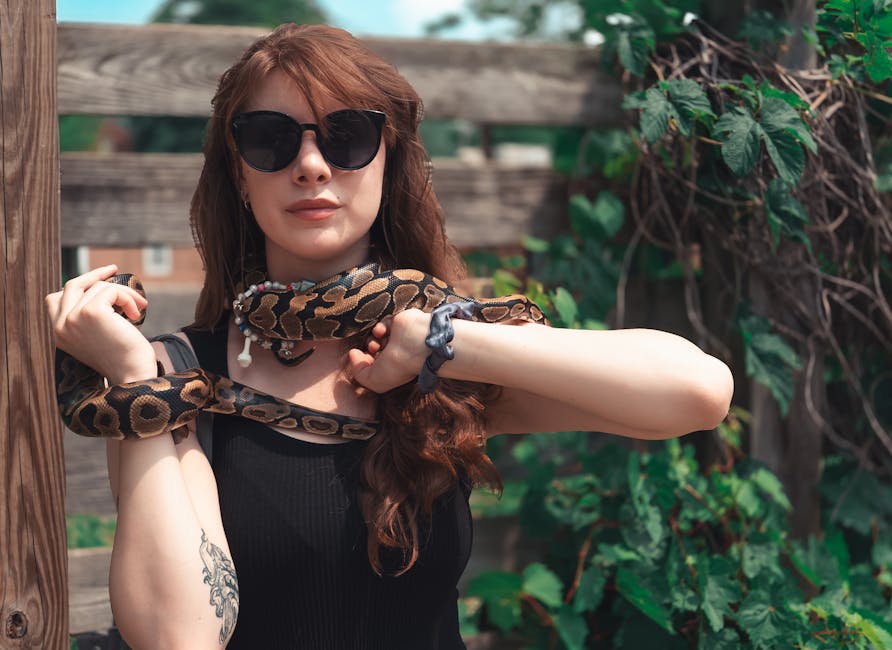 Курсы программирования и веб-дизайна